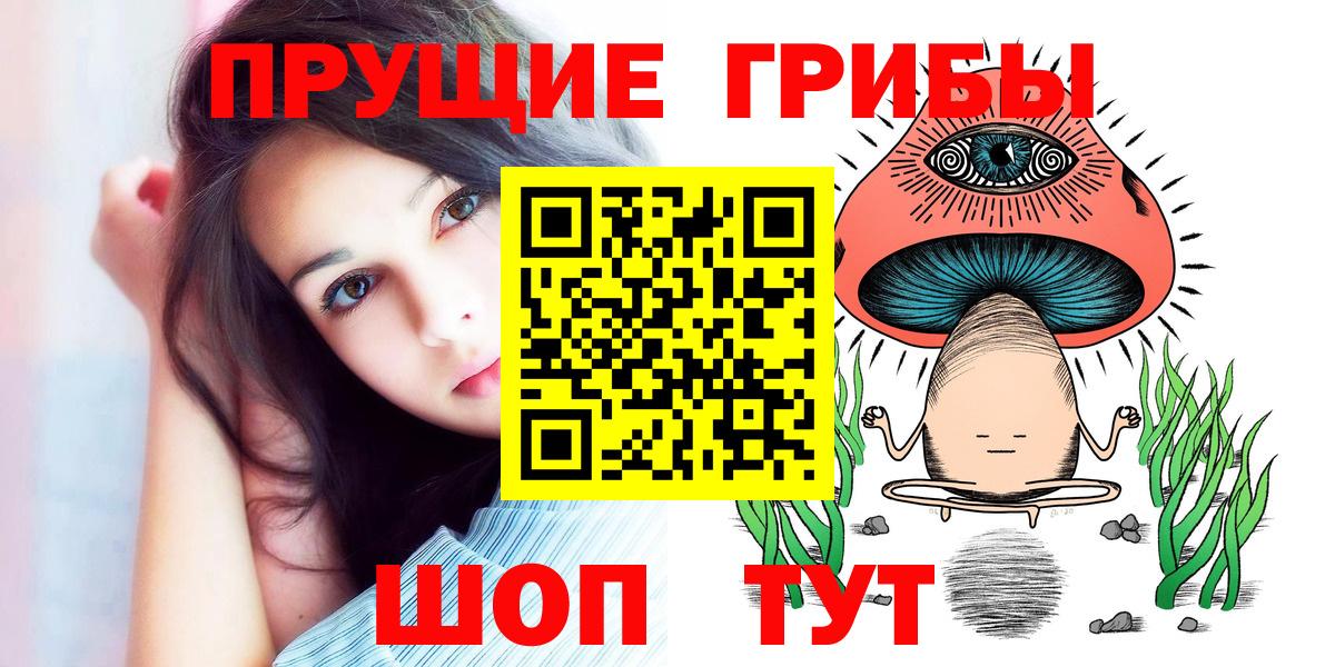 Псилоцибиновые грибы Psilocybine cubensis Подольск