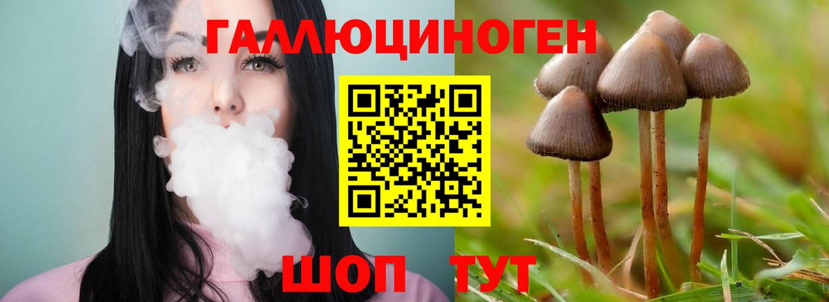 Галлюциногенные грибы Psilocybine cubensis  Галлюциногенные грибы прущие грибы  Вход с VPN  Подольск 
